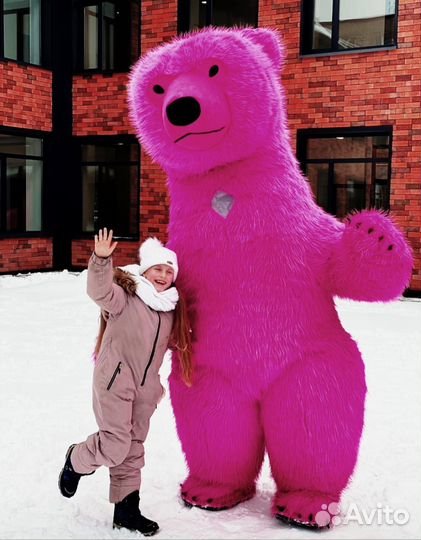 Поздравление/аниматоры/ростовые куклы