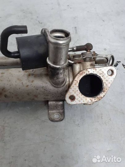 Радиатор EGR Volkswagen Passat B6 2008 03G131512