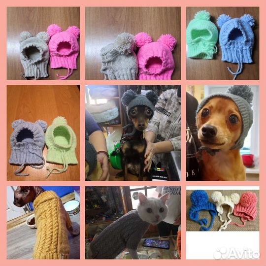 Одежда для животных