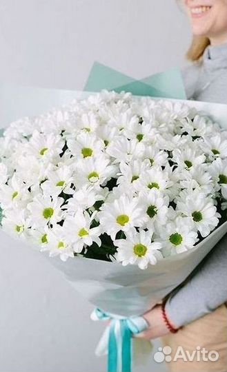 Хризантема Доставка цветов Букеты