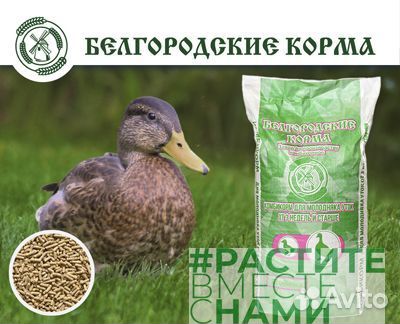 Комбикорм для водоплавающих