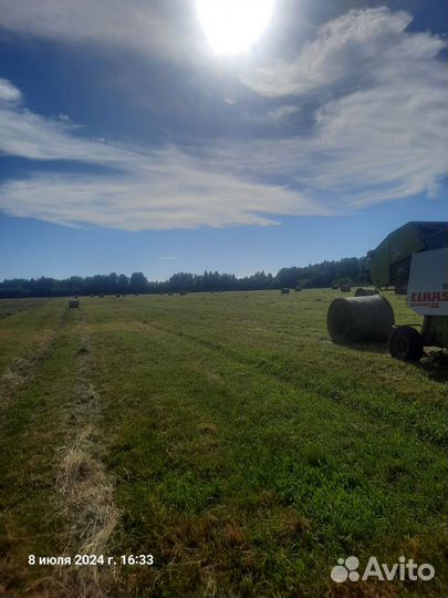 Сено Луговое в рулонах