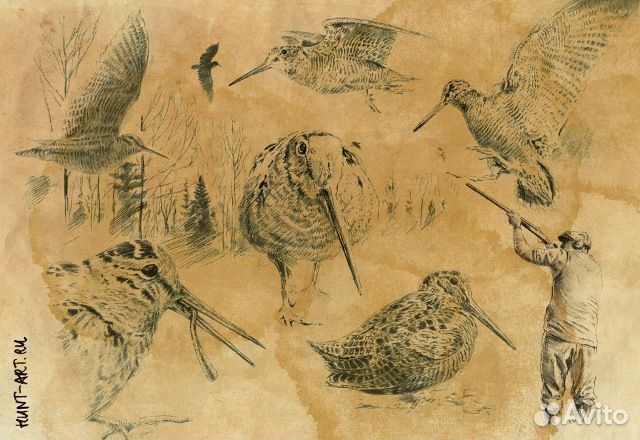Охотничьи картины, графика