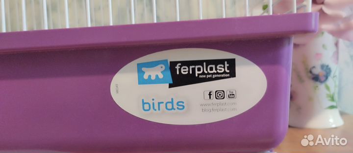 Клетка попугай