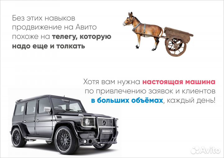 Авитолог / Делегируй продвижение на Авито