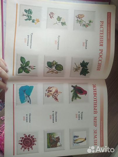 Книги и материалы для занятий