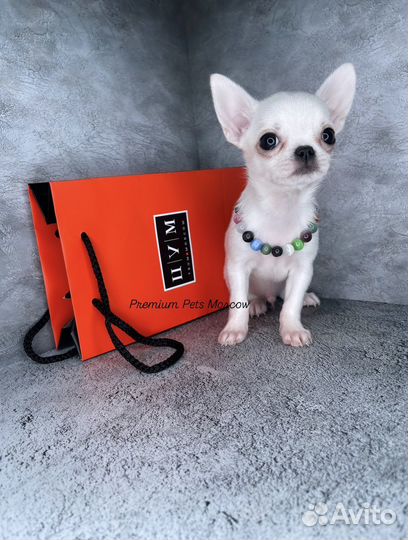 Кукольный super mini мальчик