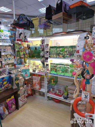 Аквариумные рыбки