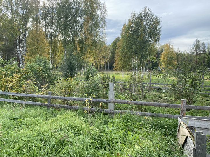 Дом 46,9 м² на участке 18,5 сот.