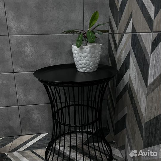 Молочай:беложилковый гребенчатый,обезьянье дерево