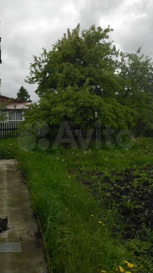 Дом 55,8 м² на участке 22 сот.