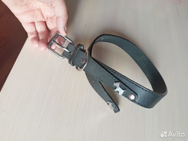 Ошейник для собак