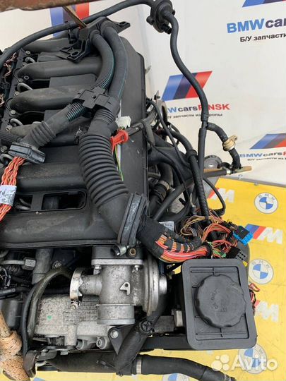 Двигатель M57D30(306D1) BMW X5 E53