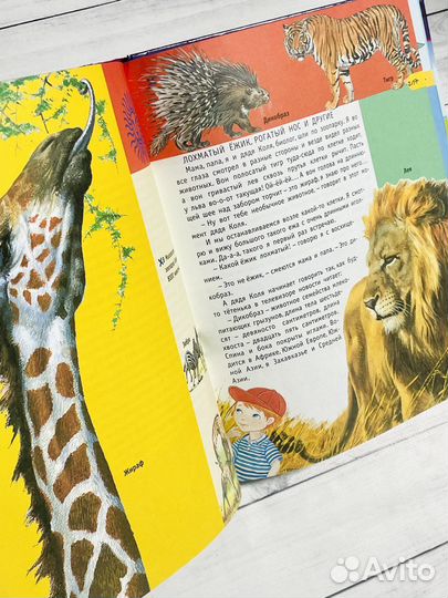 Большая книга почемучки