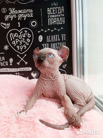 Супер девочка эльф