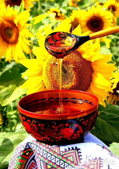 Мед, соты, забрус