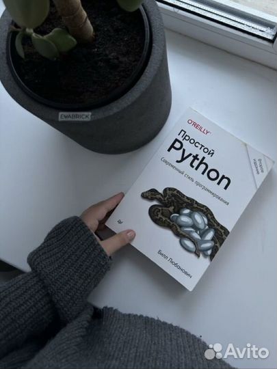 Простой Python книга