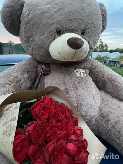 Плюшевый медведь