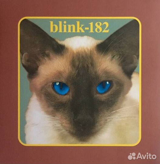 Виниловые пластинки Blink-182