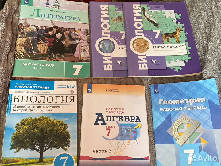 Рабочие тетради 7 класс