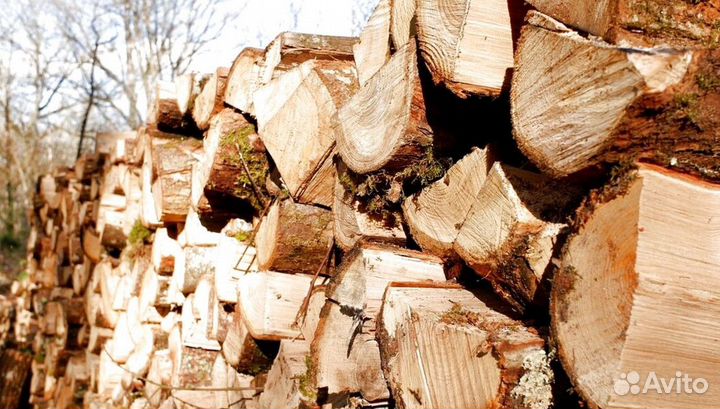 Дрова премиальные