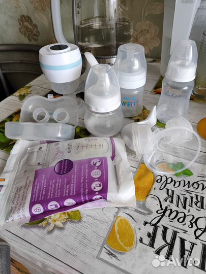 Молокоотсос