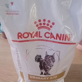 Корм для кошек royal canin urinary