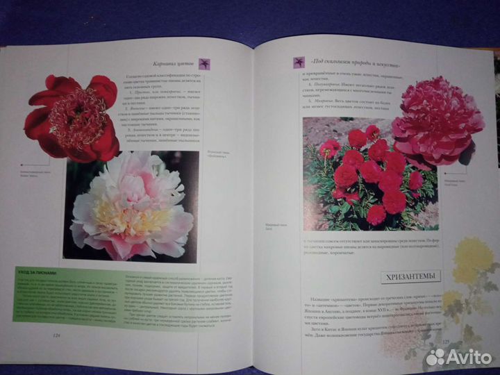 Книга цветы мира
