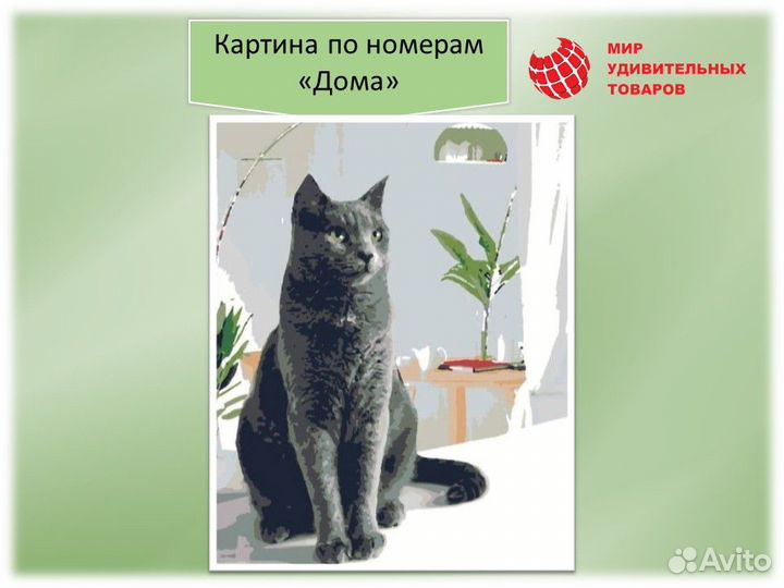 Картина по номерам 40х50