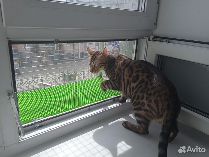 Балкончик для кошки