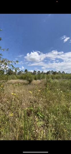 Участок 72 сот. (СНТ, ДНП)