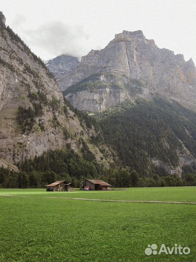 Пресеты Владимира Ташланова 2024