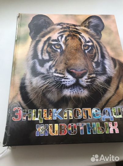 Энциклопедия для детей