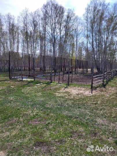 Ищу партнёра для разведения скота