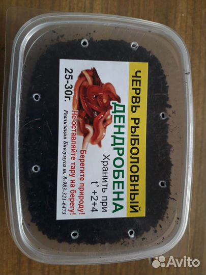 Червь Дендробена