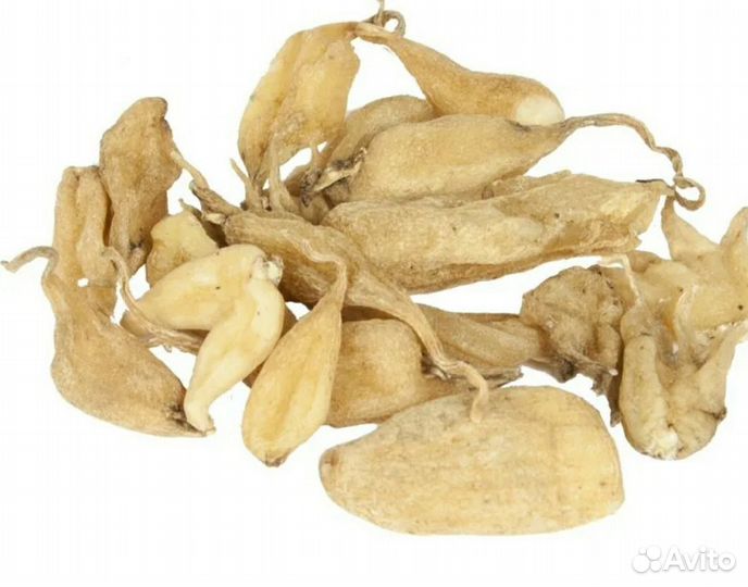 Ятрышник. Салеп