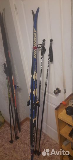 Беговые лыжи