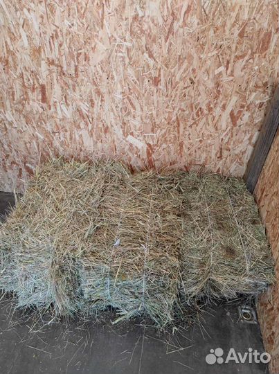 Сено разнотравье