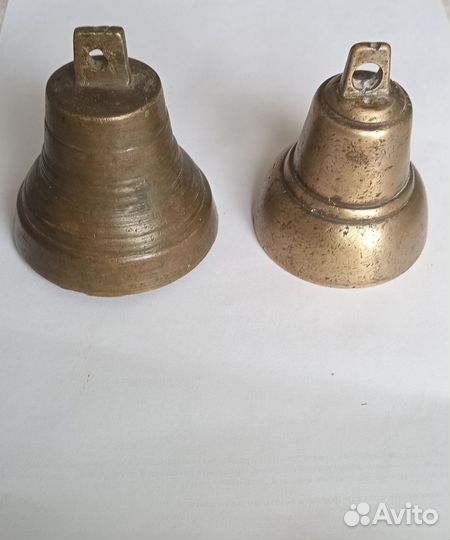 Колокольчик поддужный