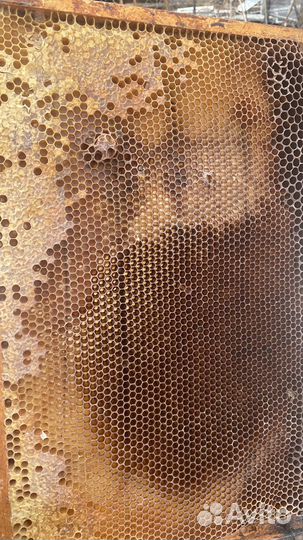 Товары для пчеловодства