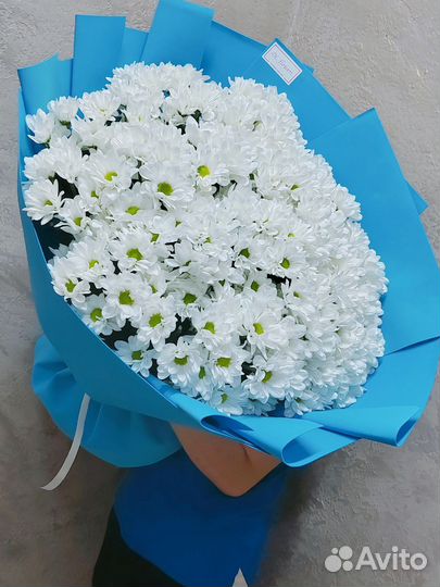 Цветы розы Букет Гигант из ромашек Доставка Пермь