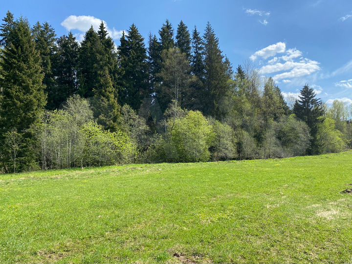 Участок 7,3 сот. (ИЖС)