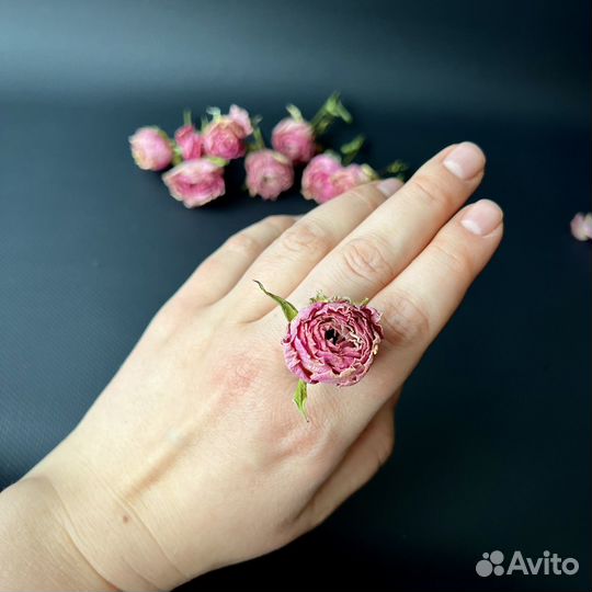 Сухоцветы для творчества, Статица, Кустовая роза