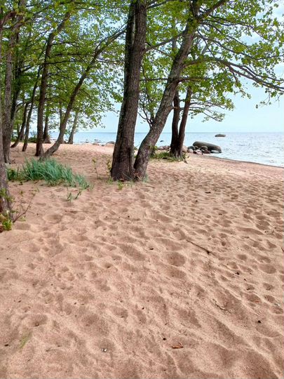 Дом 58 м² на участке 12,5 сот.