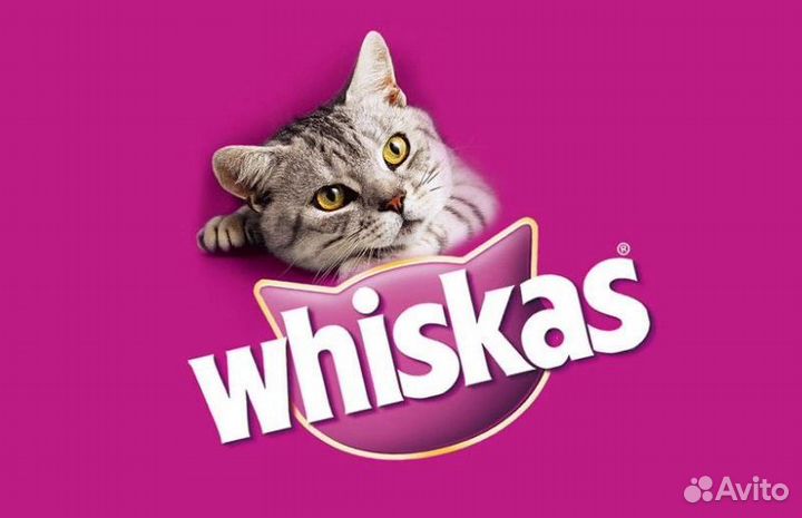 Корм для кошек whiskas