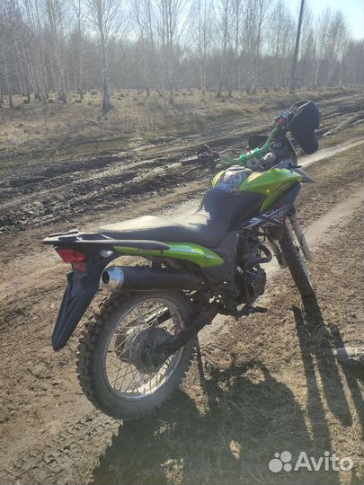 Racer ranger 200