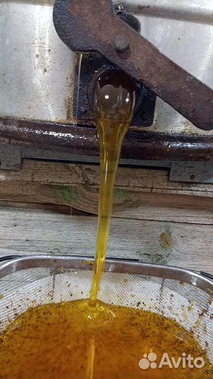 Свежий мед 2023 оптом