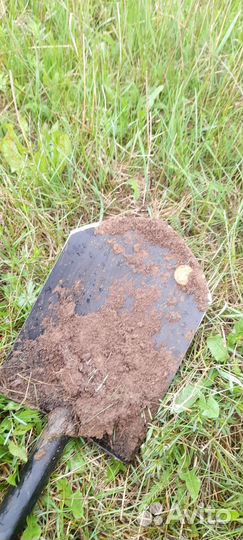 Металлоискатель прокат, аренда X-teia 705