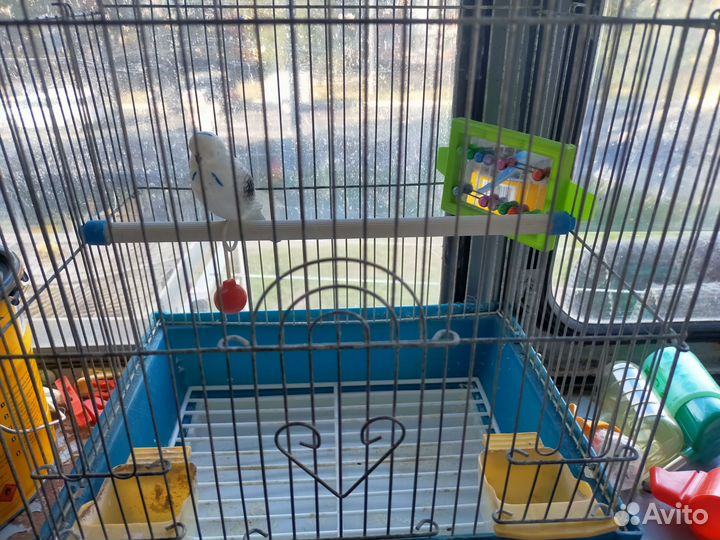 Клетка 28*37*22 и остальное