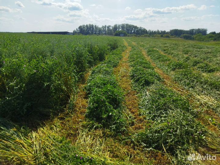 Сено вика-овес